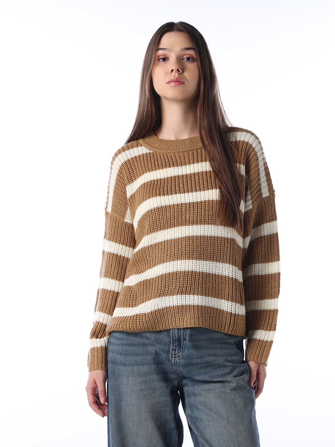Striped Regular Fit Pullover - Brown
