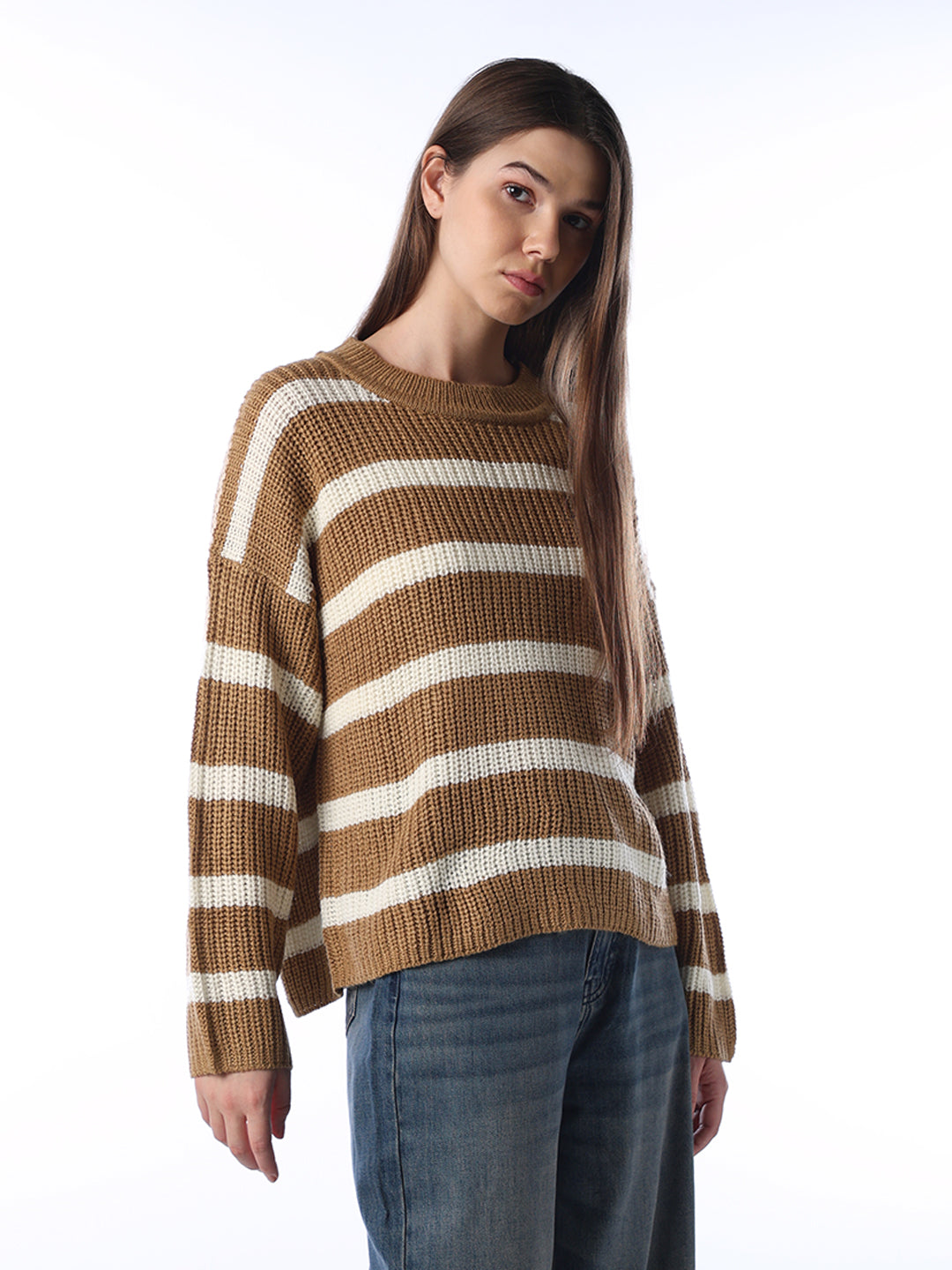 Striped Regular Fit Pullover - Brown