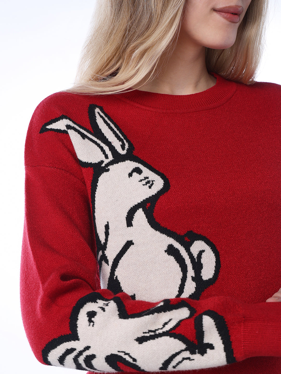 Rabbit Print Jacquard Pullover