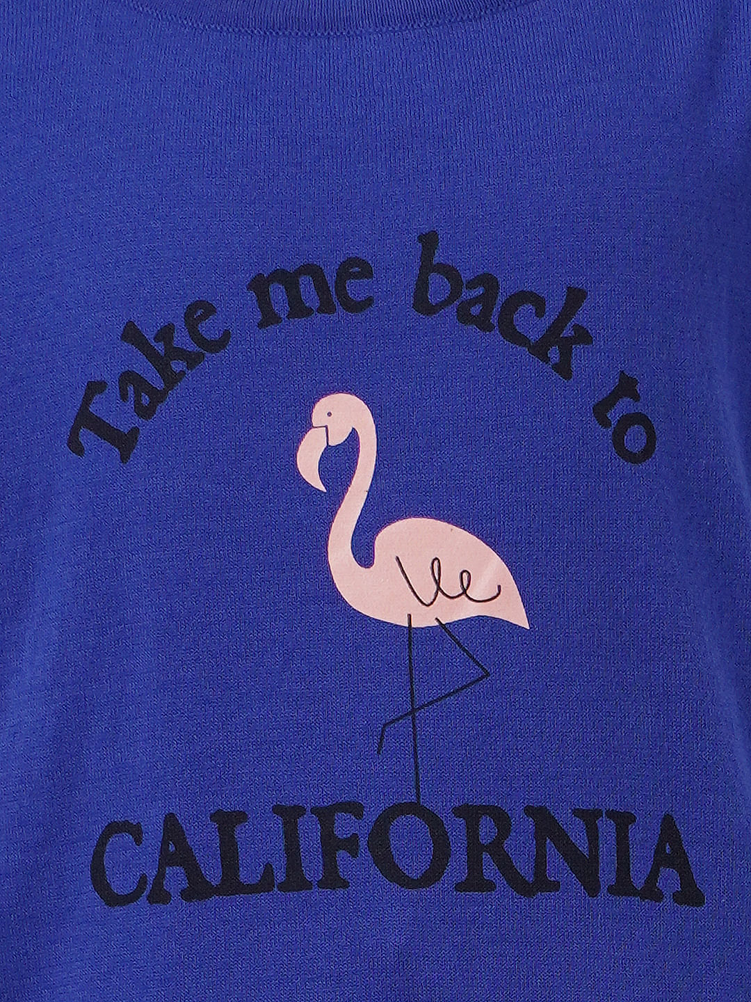 Girls Blue Graphic Print T-Shirt