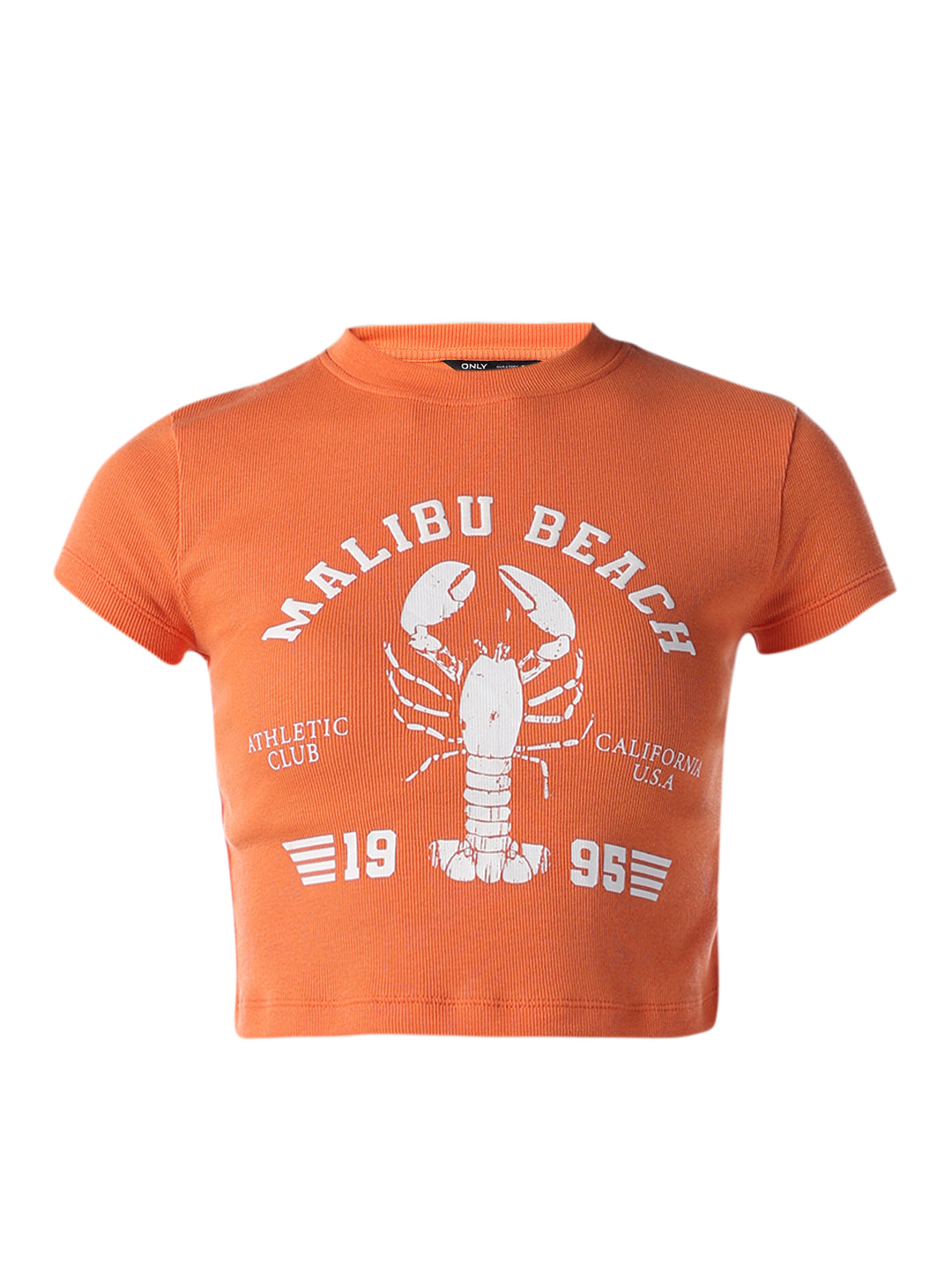 Ribbed Cropped T-shirt