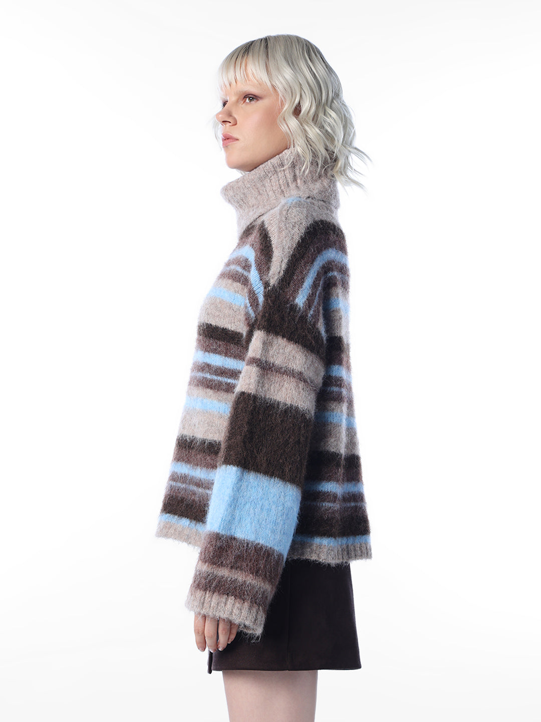 Striped Roll Neck Pullover