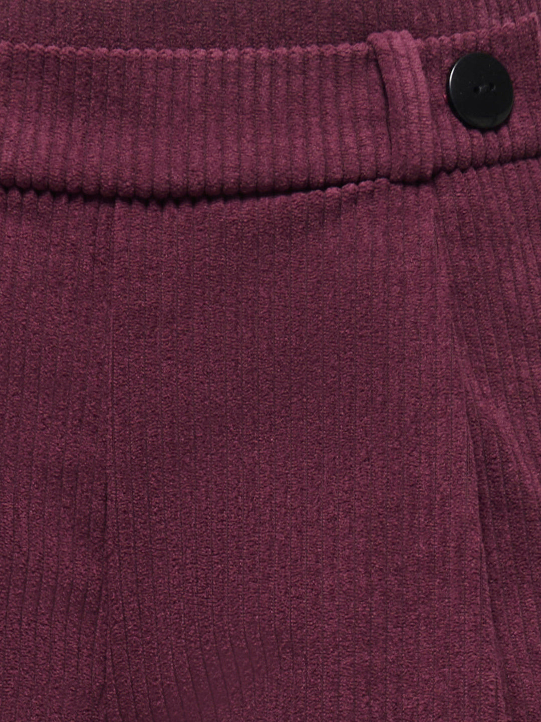 Wine Regular Fit Pants