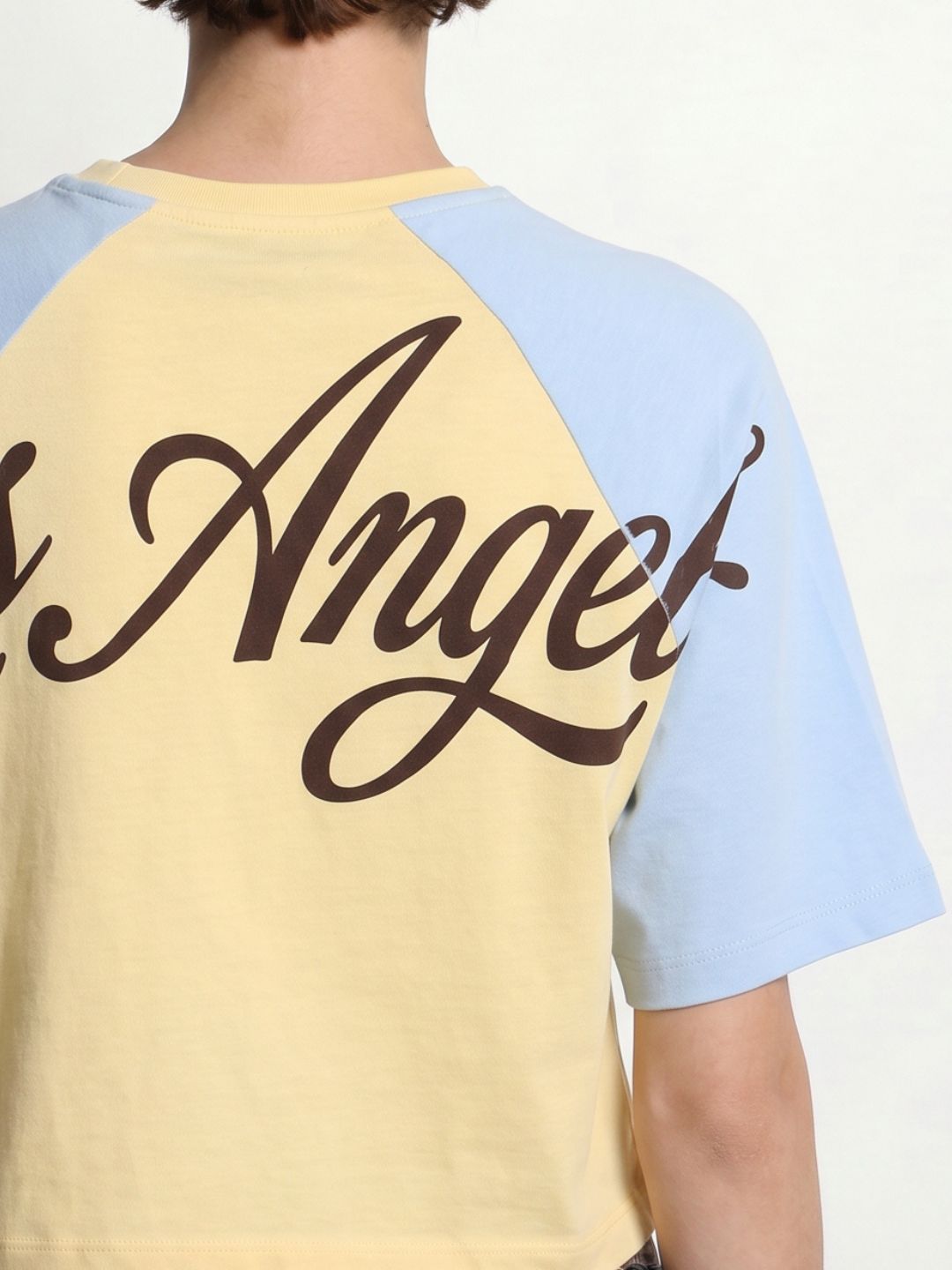 Colourblocked Cropped T-Shirt