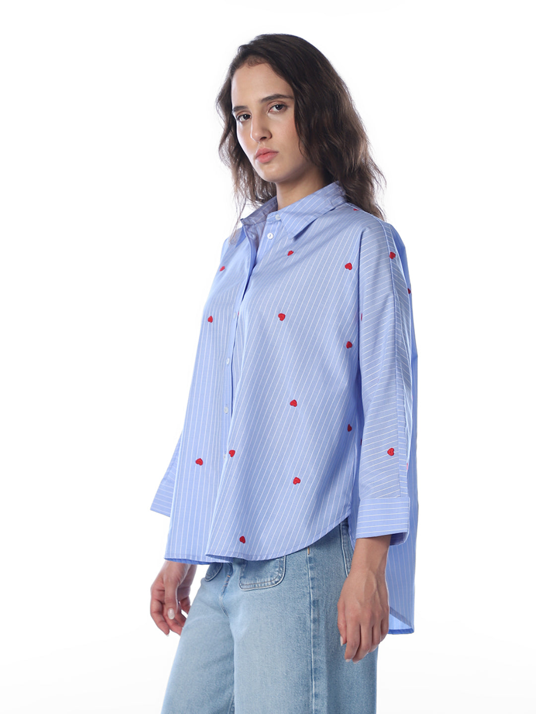 Blue Striped Embroidered Shirt